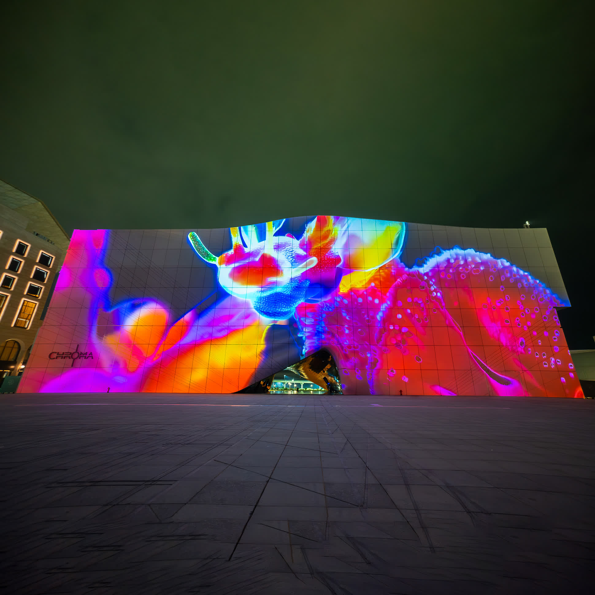 장윤영, 〈공생의 빛〉