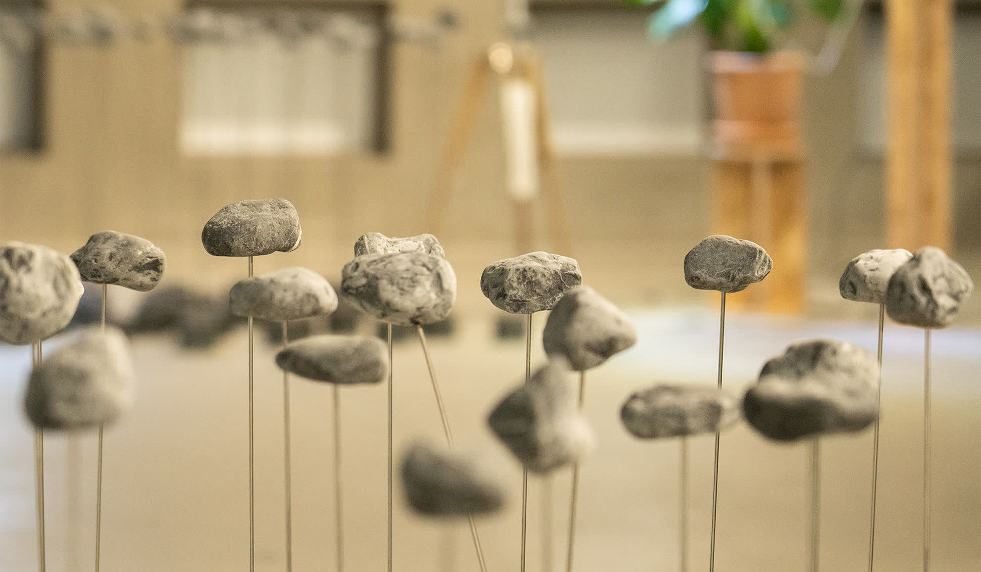 노경택, 〈미지의 행위들〉