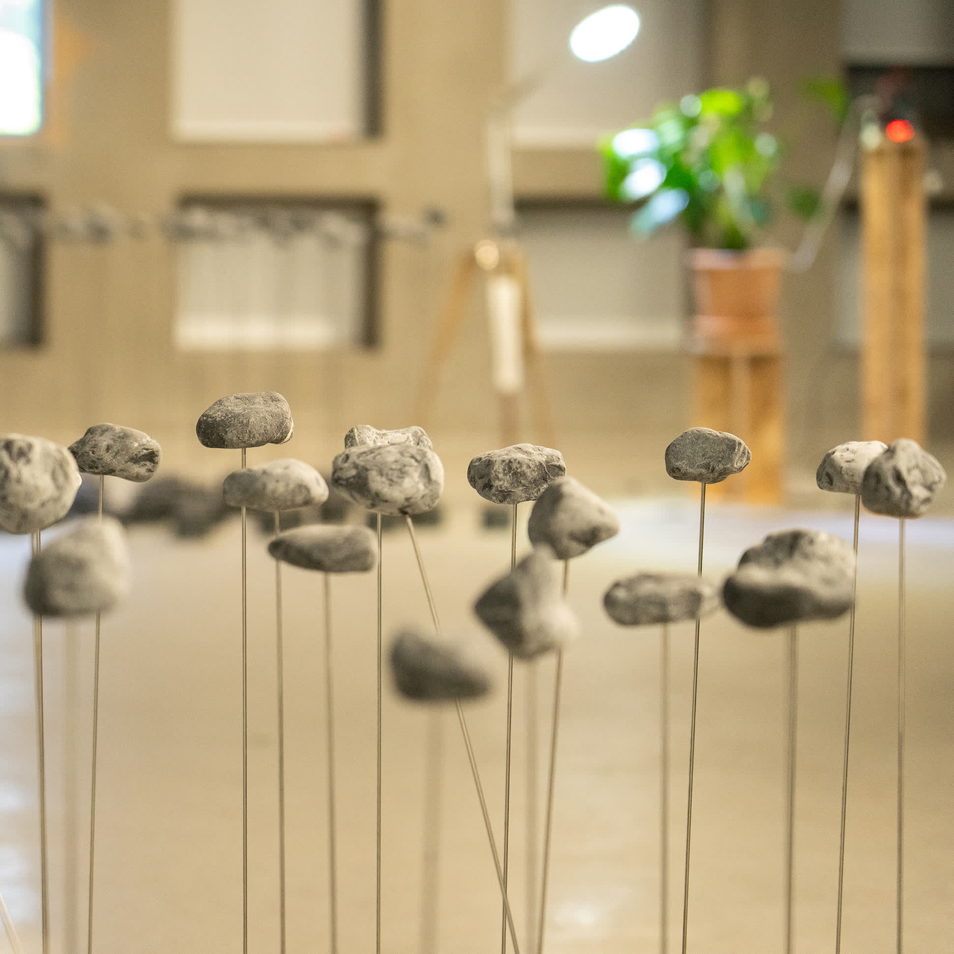 노경택, 〈미지의 행위들〉